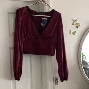 Elegant Maroon Long Sleeve Crop Top